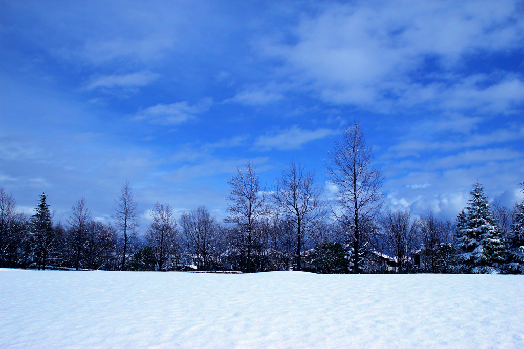 初雪の公園　2