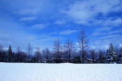 初雪の公園　2