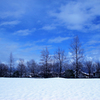 初雪の公園　2