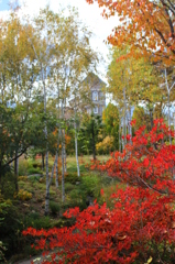 紅葉１４