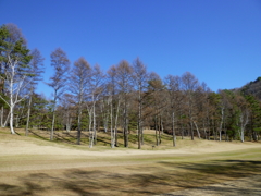 ゴルフ場の空１