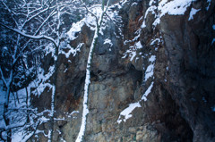 断崖の雪