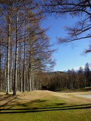 ゴルフ場の空５