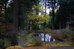 牛伏寺の紅葉
