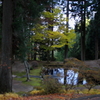 牛伏寺の紅葉