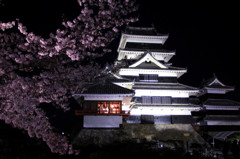桜と松本城１