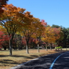 紅葉６２