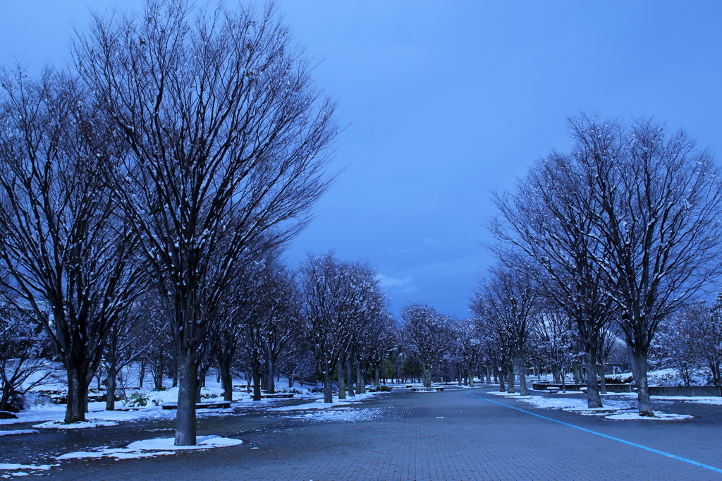 初雪の公園　5