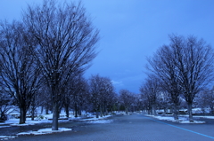 初雪の公園　5
