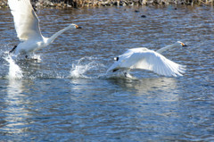 Take off 1