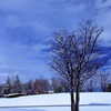 初雪の公園　4