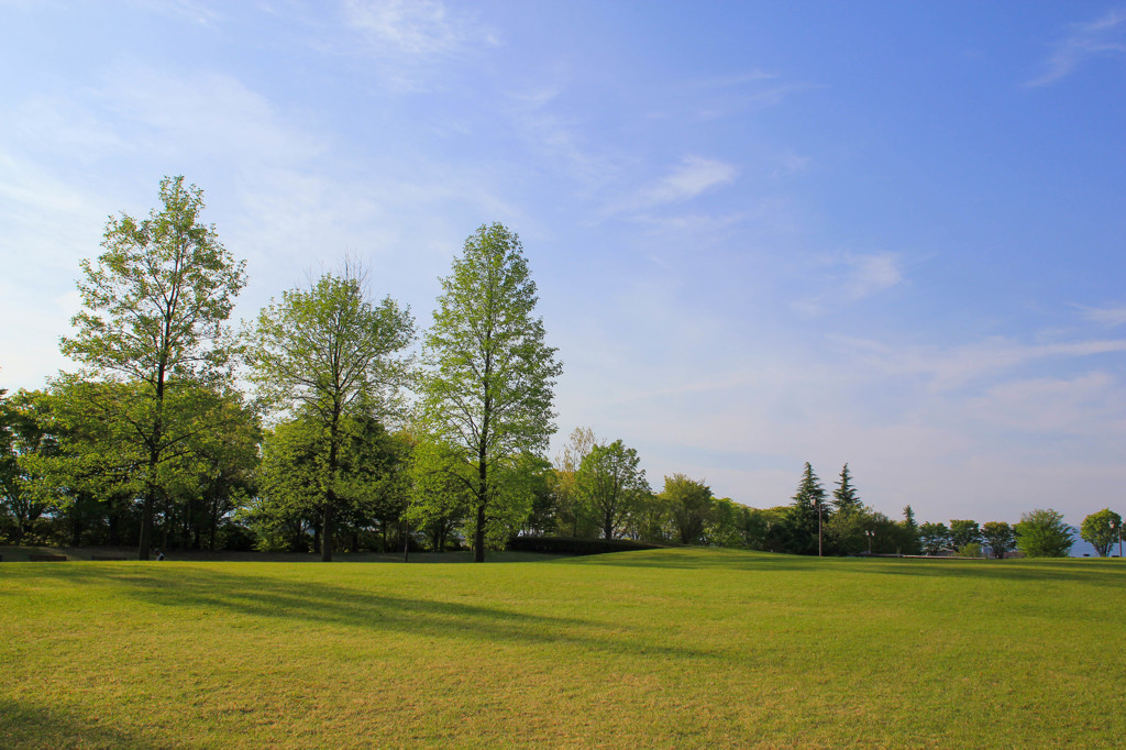 新緑の公園3