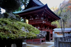 石灯篭と苔２