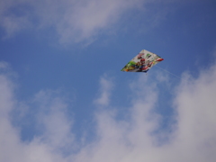 空飛ぶマリオ