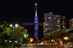 福岡タワー十五夜