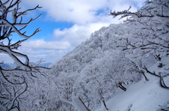 高見山