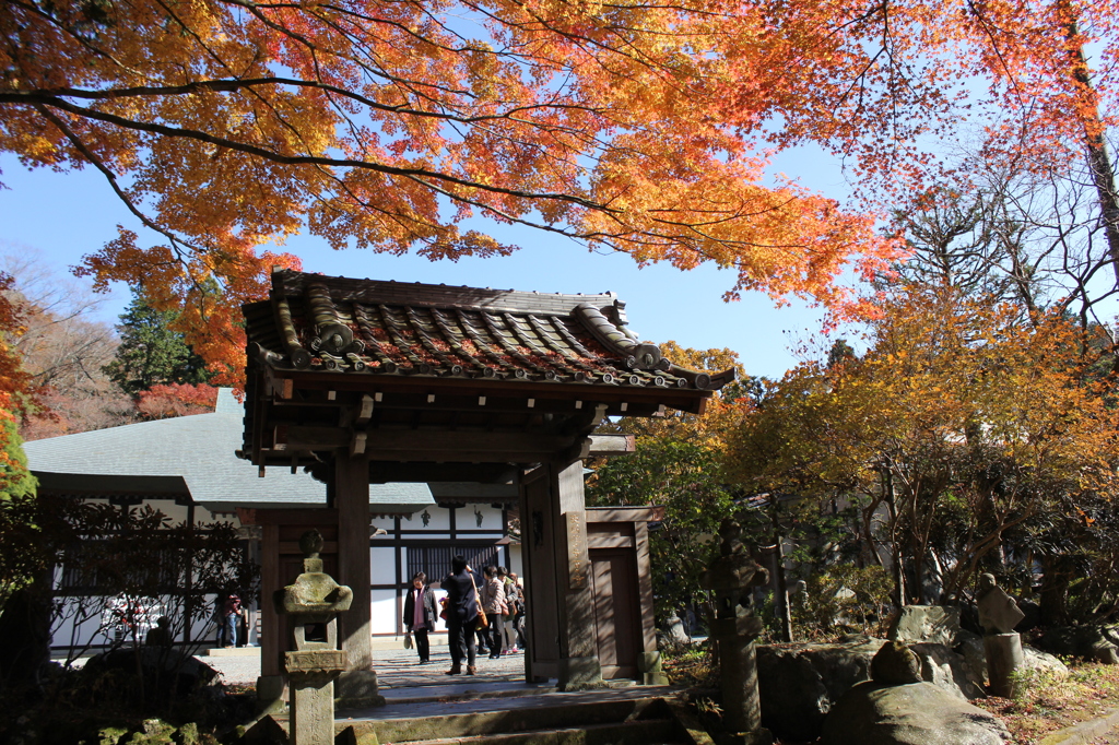 秋の長安寺 in 2013