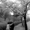 ずっと隣で
