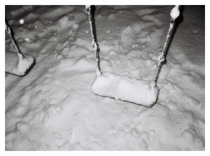 雪景色