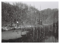 雪景色
