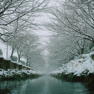 雪景色