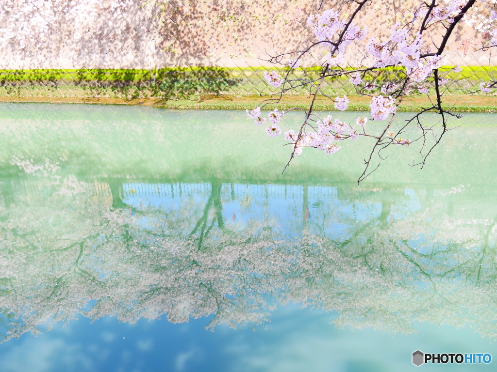 パステルカラー