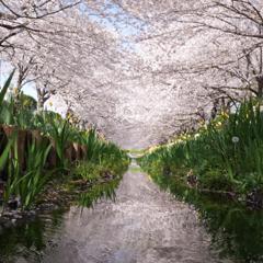 緑道２０１４
