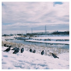 春待ち