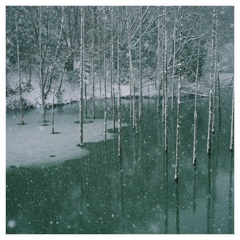 雪景色