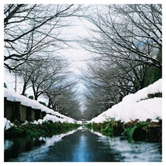 雪景色