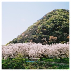 高麗山