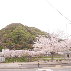 高麗山