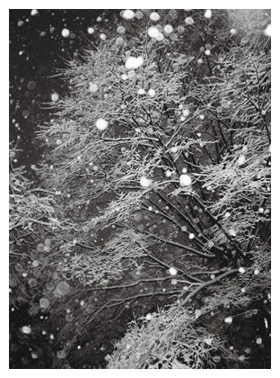 雪景色