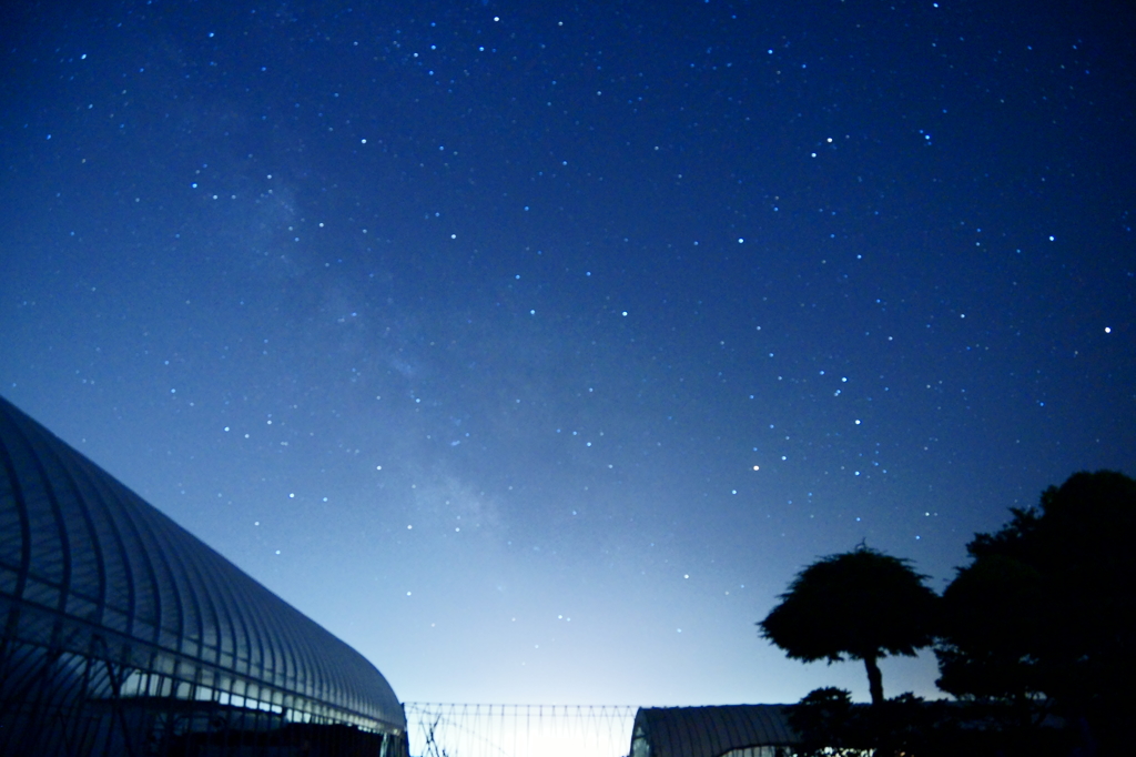街の灯り、星の灯り