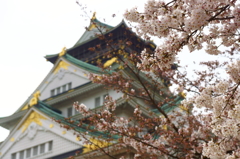 春の大阪城