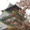 春の大阪城