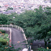 坂の途中