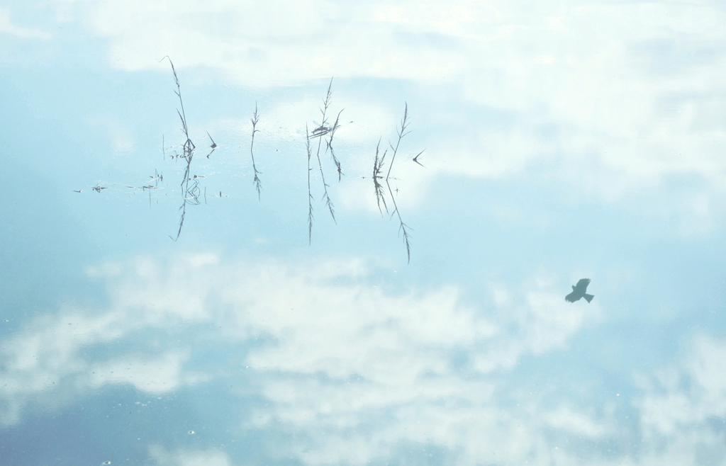 空について