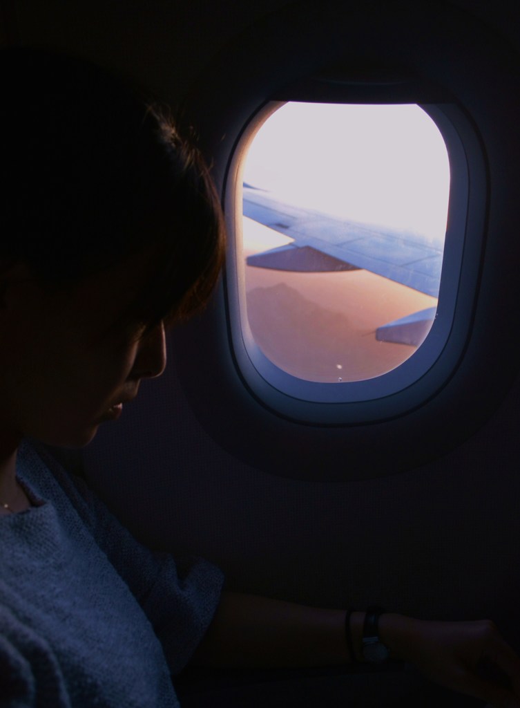 Flight to Farewell