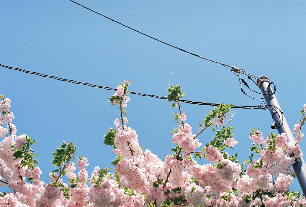 春の空
