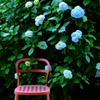 Photo of May