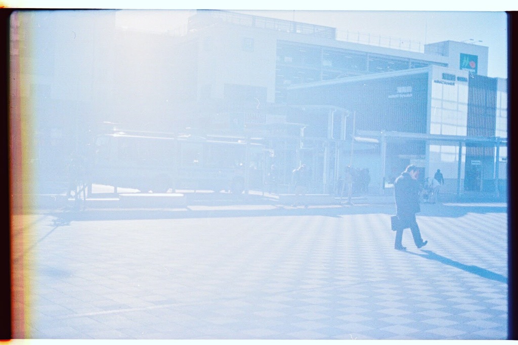 雪のない道に