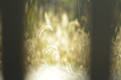 cropped motion picture2