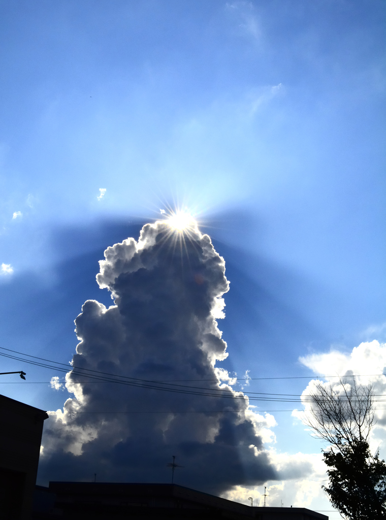 夏雲