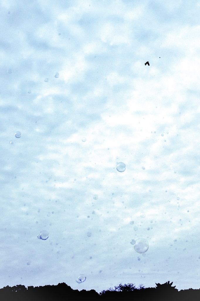 bubbles