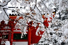 雪の観心寺