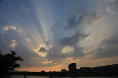 室見川夕景