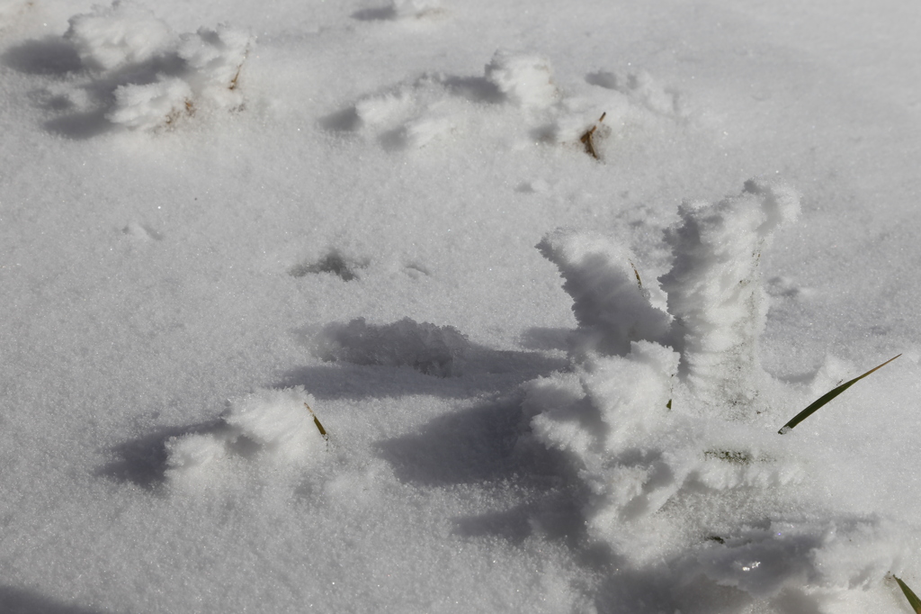 雪の阿蘇１