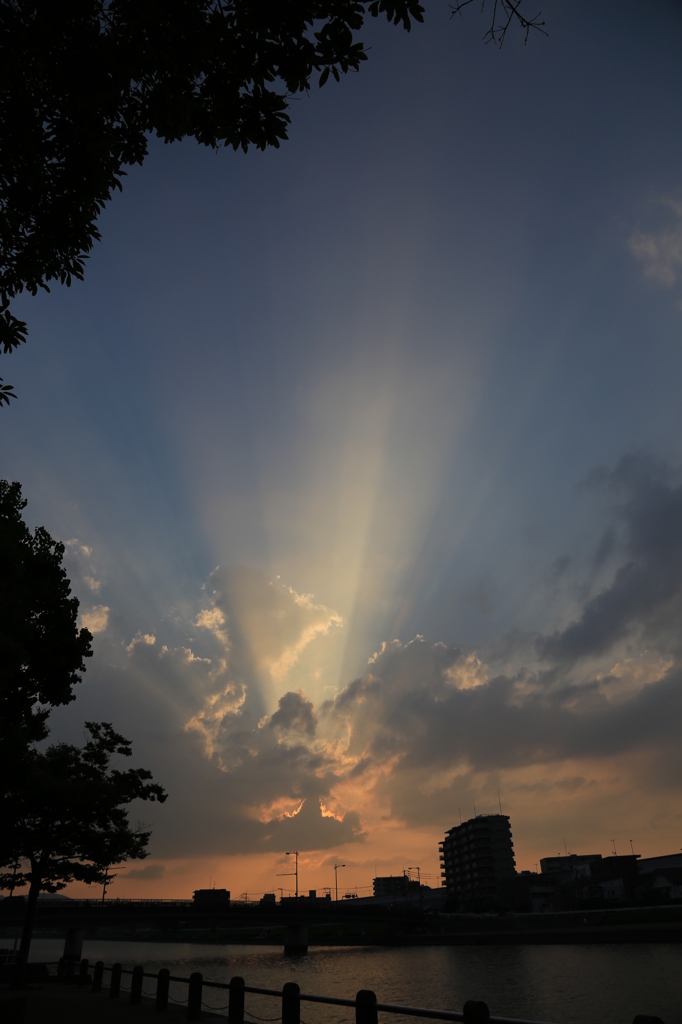 室見川夕景２