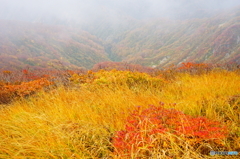 錦秋の東北ﾏｯﾀｰﾎｰﾝ(祝瓶山)-1